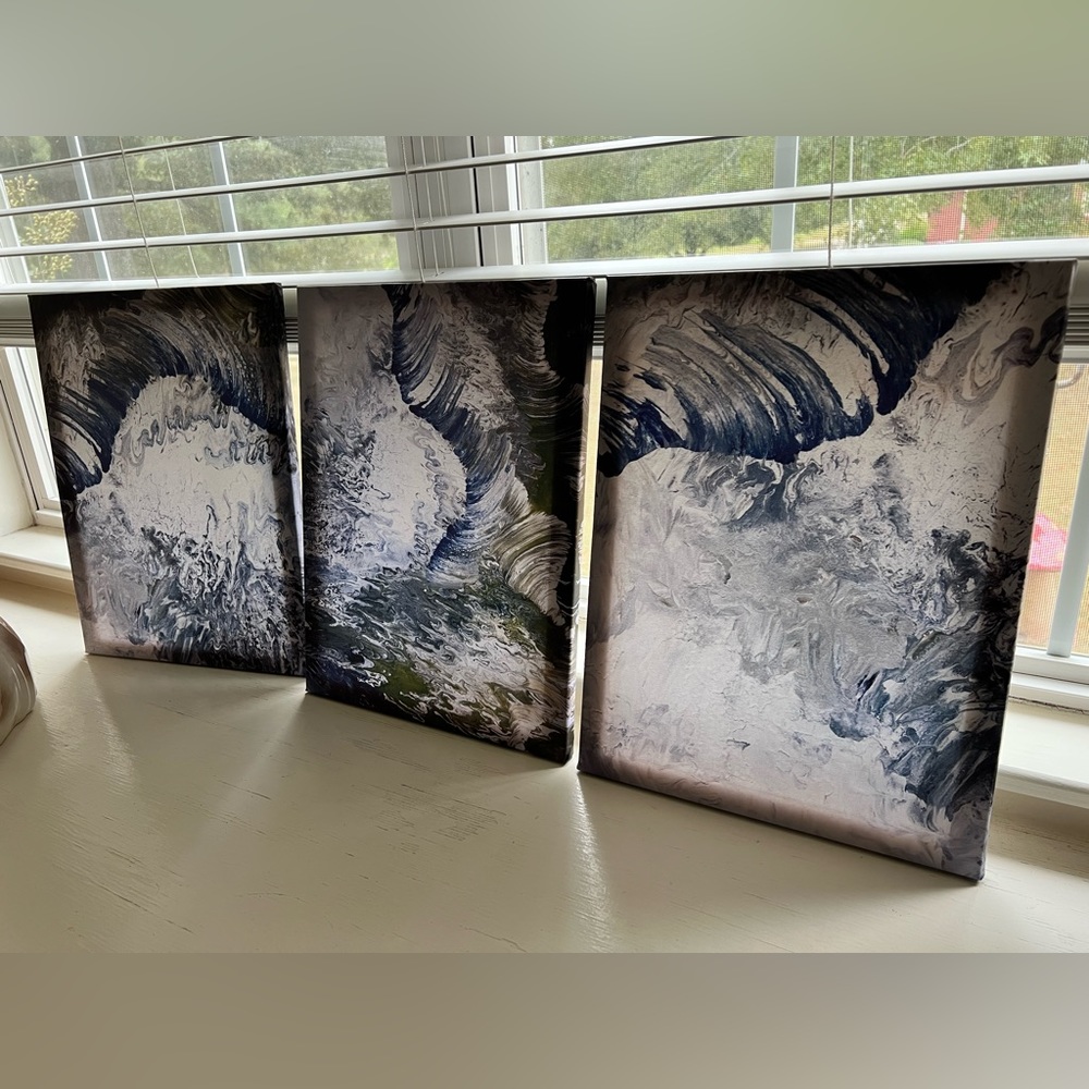Set of 3 canvas pictures. 16” x 12”.